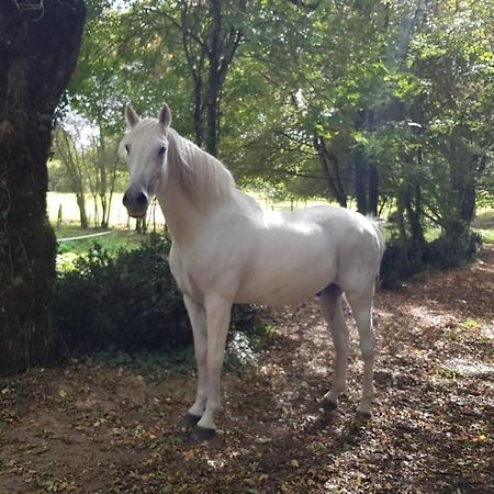 Le Nichoir Les Essarts (Vendee) Exterior foto